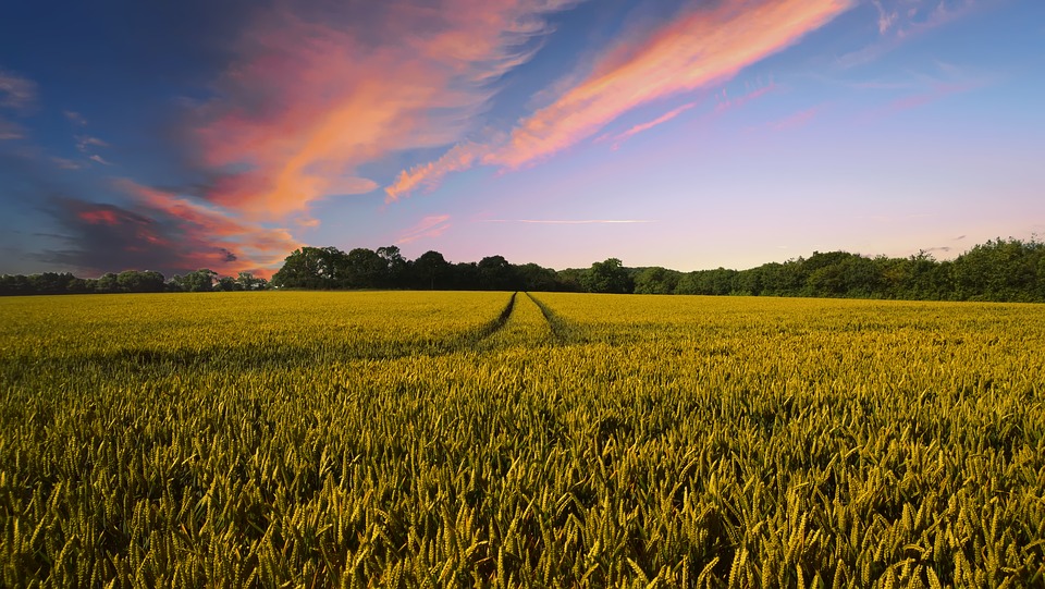 Confagricoltura Piedmont: The future of agriculture thanks to science