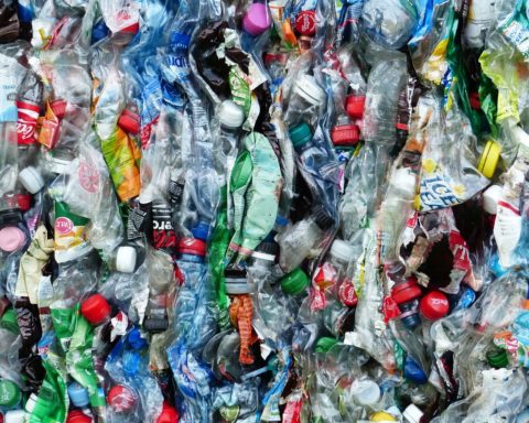 plastica bottiglie