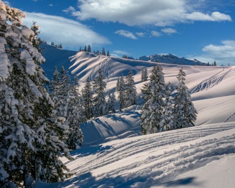 Sestriere Neve