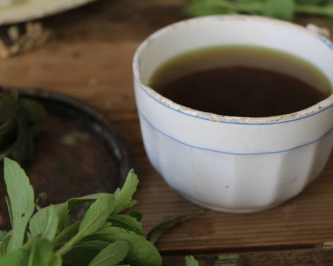 ricetta infuso di stevia