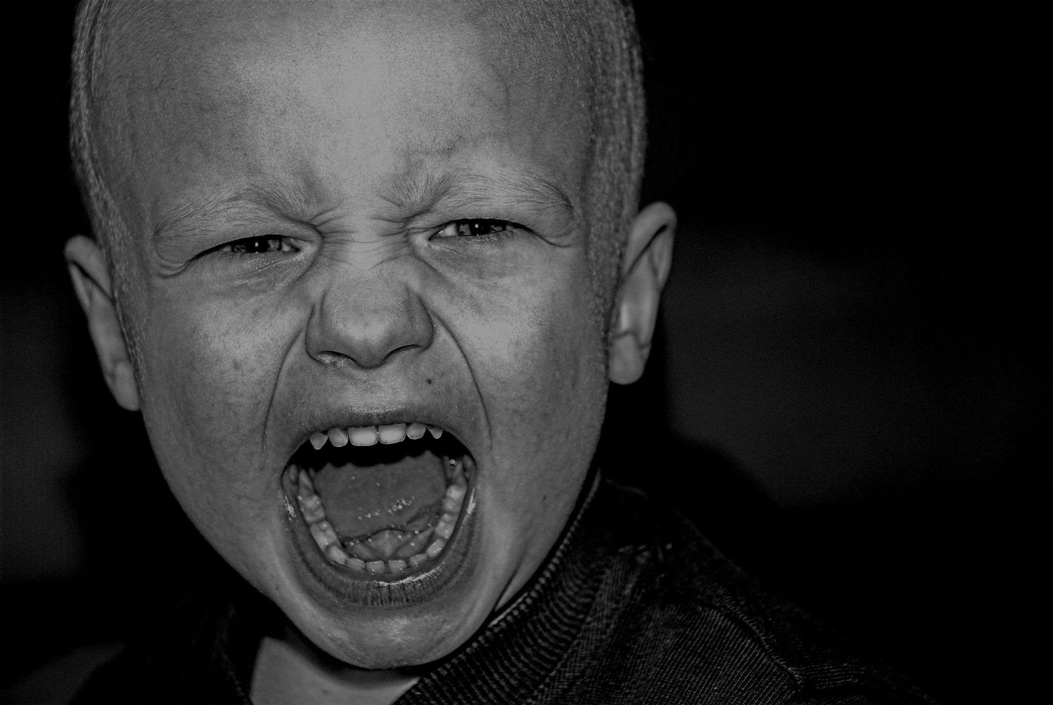 rabbia