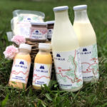 FIT-MILK cestino