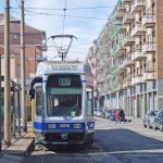 linea