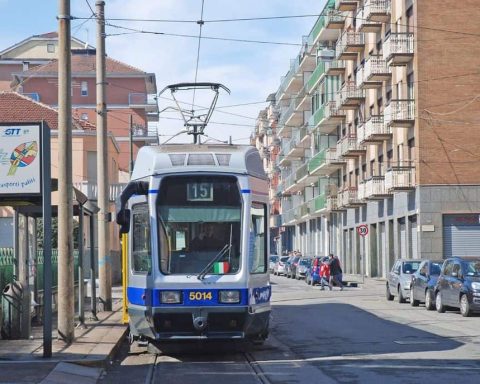 linea